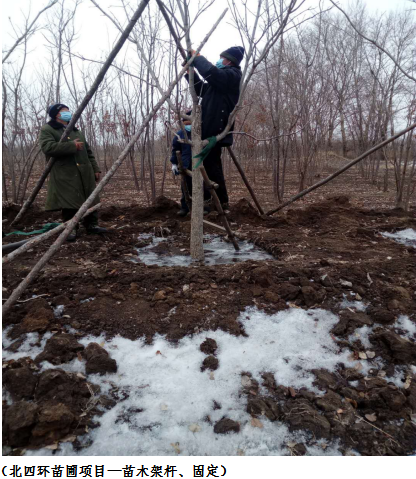 币游·国际(中国游)官方网站
